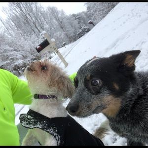 Meet your Posher, Glennae